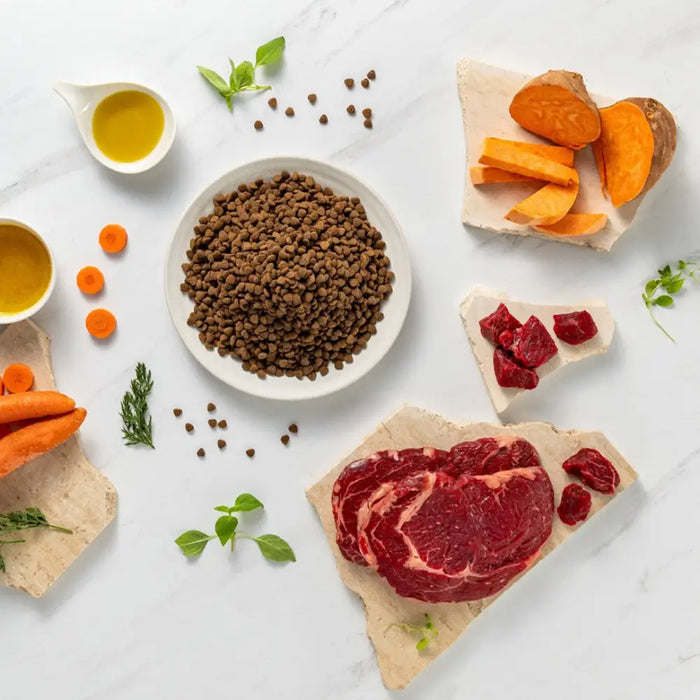 RAW PALEO Ultra Mini Puppy Beef суха храна за кученца