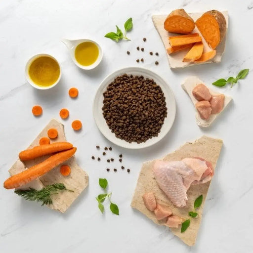RAW PALEO Ultra Mini Puppy Turkey - суха храна за кученца