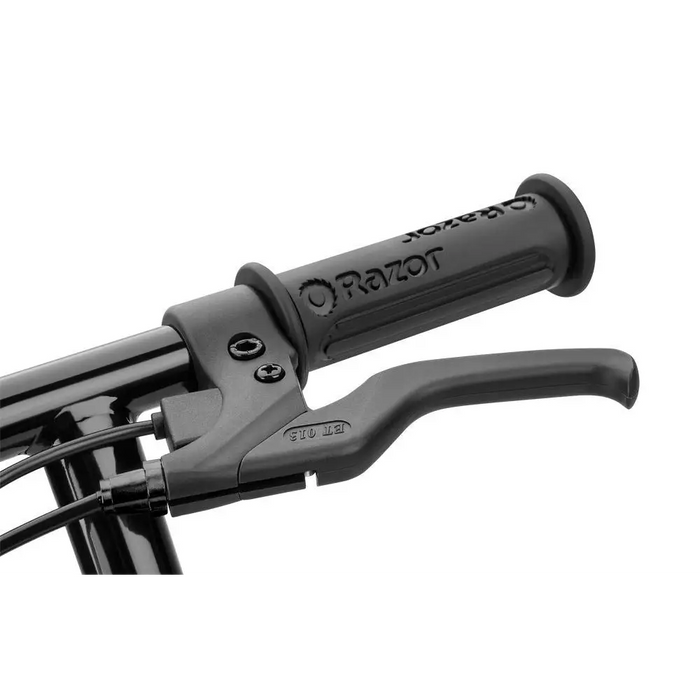 Razor Power Core E90 16 км/ч Черен Зелен