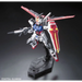 RG 1/144 AILE STRIKE GUNDAM BL