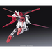 RG 1/144 AILE STRIKE GUNDAM BL