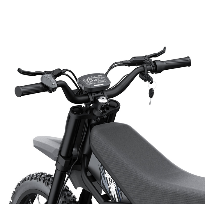 Електрически велосипед Riding Times GT 73