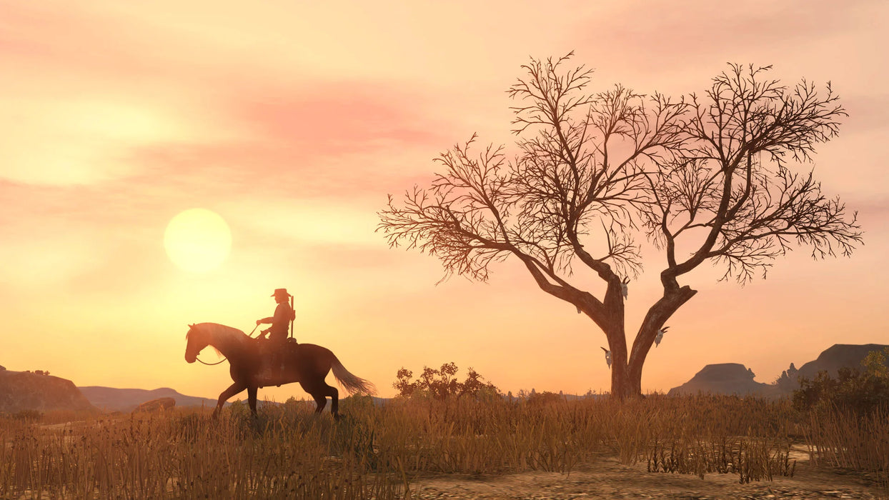 Игра Red Dead Redemption (PS4)