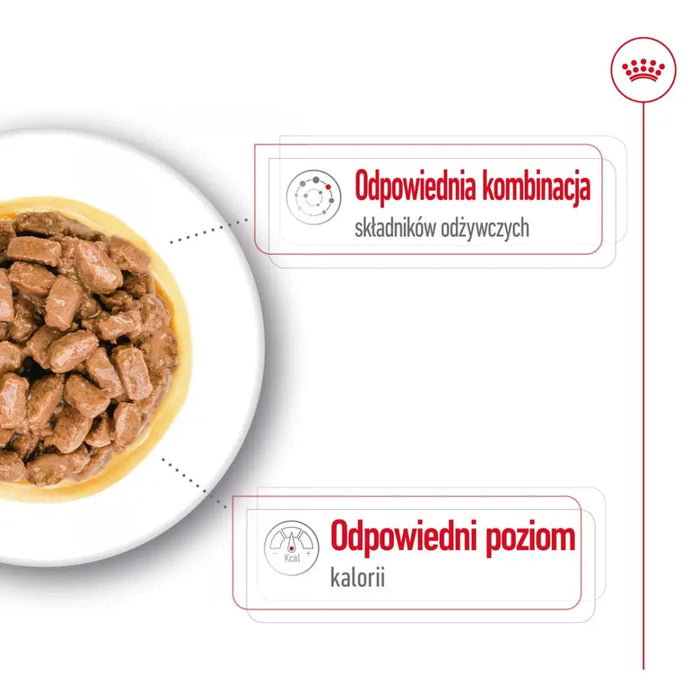 ROYAL CANIN Mini Ageing - мокра храна за кучета - 12 х 85гр