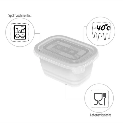 ROTHO Freeze - фризер контейнер - 6х250мл