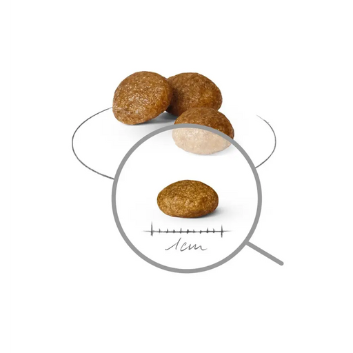 ROYAL CANIN Adult x- small SHN - dry dog food - 3kg