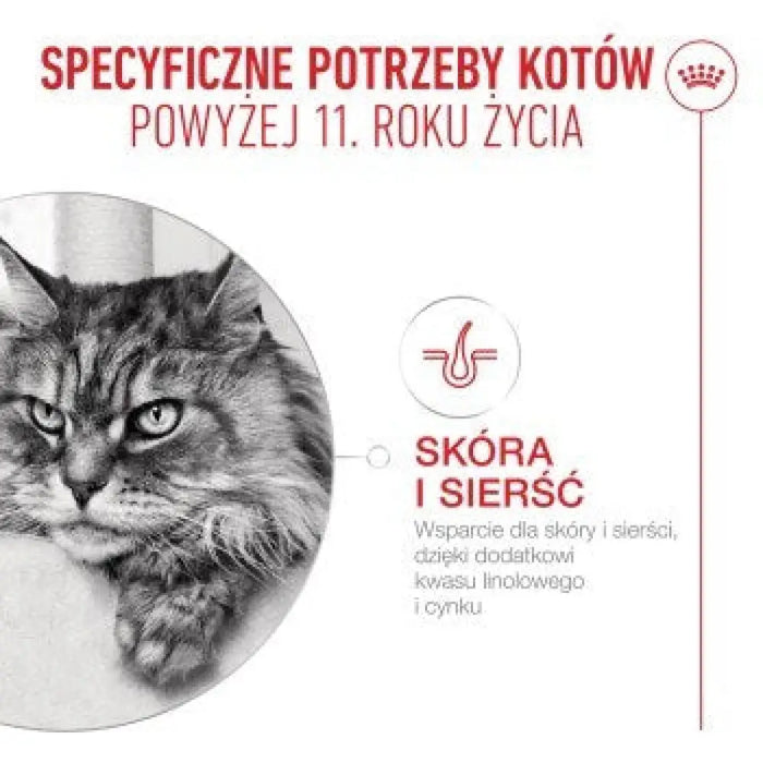 ROYAL CANIN Ageing 11+ Парчета в сос - мокра храна за котки