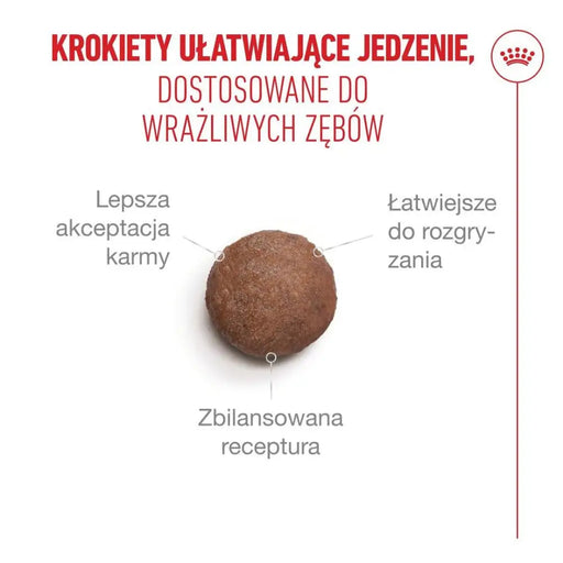ROYAL CANIN Ageing 11+ Sterilised - суха храна за котки - 2