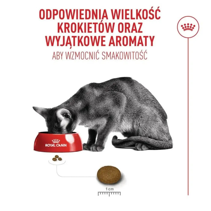 ROYAL CANIN Ageing 11+ Sterilised - суха храна за котки - 2