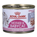 Royal Canin BABYCAT INSTINCTIV - Мокра храна за котки - 195