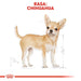 ROYAL CANIN BHN Chihuahua Adult суха храна за кучета - 1,5