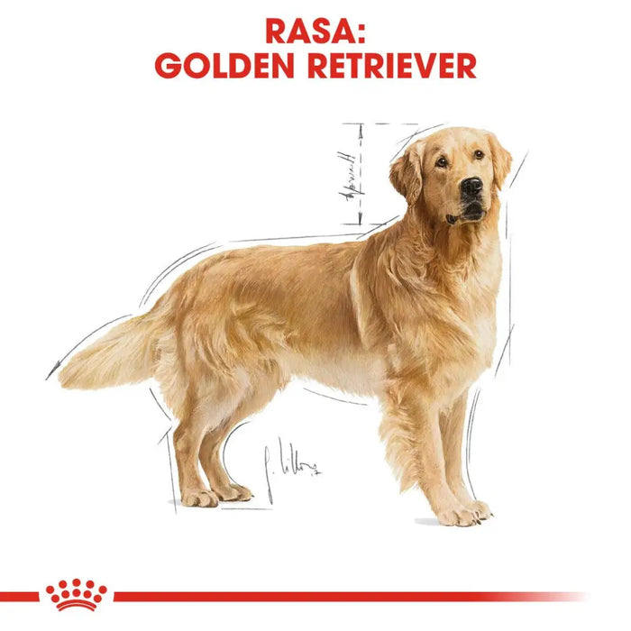 ROYAL CANIN BHN Golden Retriever суха храна за кучета - 12