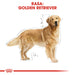 ROYAL CANIN BHN Golden Retriever суха храна за кучета - 12