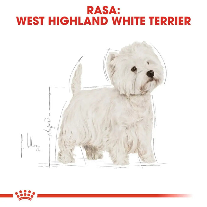 Royal Canin BHN West Highland White Terrier Adult - суха