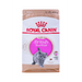 ROYAL CANIN British Shorthair Kitten - суха храна за котки