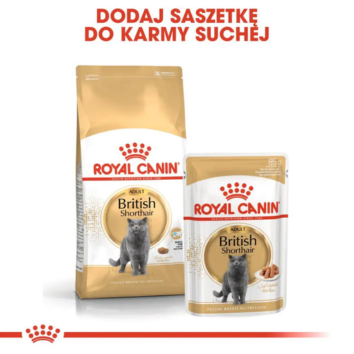 ROYAL CANIN British Shorthair - суха храна за котки - 2 кг