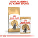 ROYAL CANIN British Shorthair - суха храна за котки - 2 кг