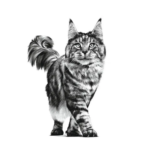 ROYAL CANIN Cat Gastrointestinal VHN - суха храна за котки