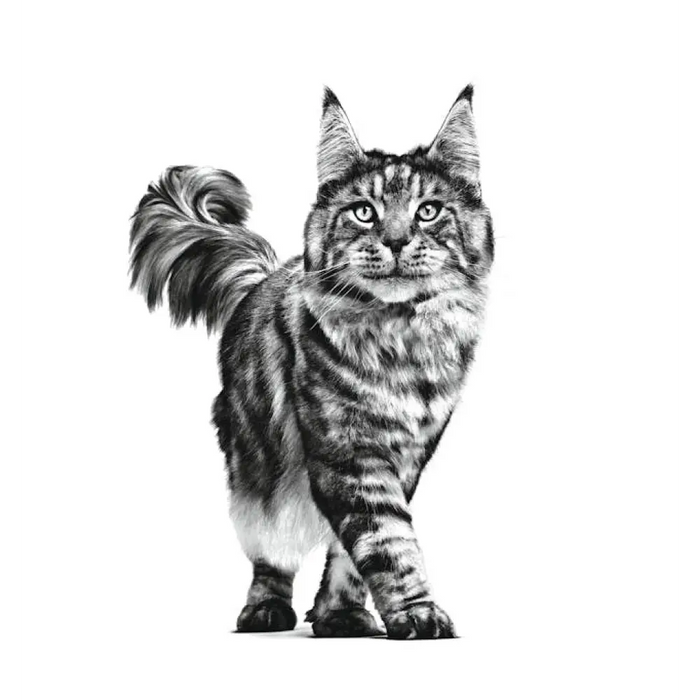 ROYAL CANIN Cat Gastrointestinal VHN - суха храна за котки