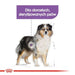 ROYAL CANIN CCN Medium Sterilized Adult - суха храна