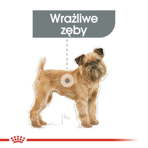 ROYAL CANIN CCN Mini Dental Care - суха храна за възрастни