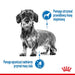 Royal Canin CCN MINI LIGHT WEIGHT CARE суха храна
