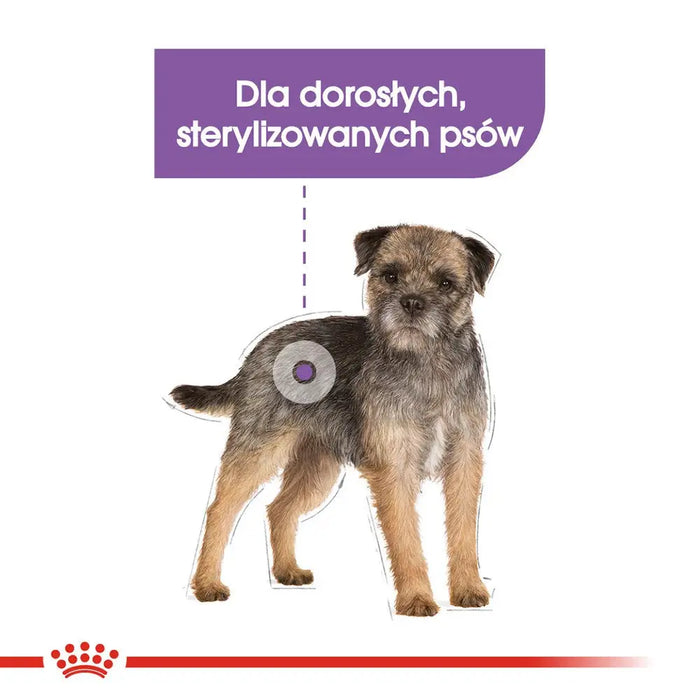 Royal Canin CCN MINI STERILIZED - суха храна за възрастни