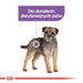 Royal Canin CCN MINI STERILIZED - суха храна за възрастни