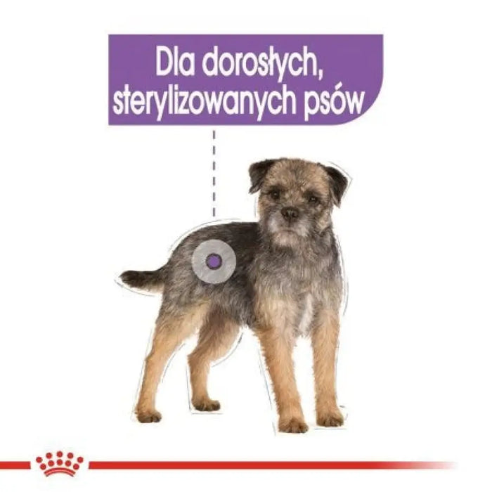 Royal Canin CCN Sterilised Loaf - мокра храна за възрастни