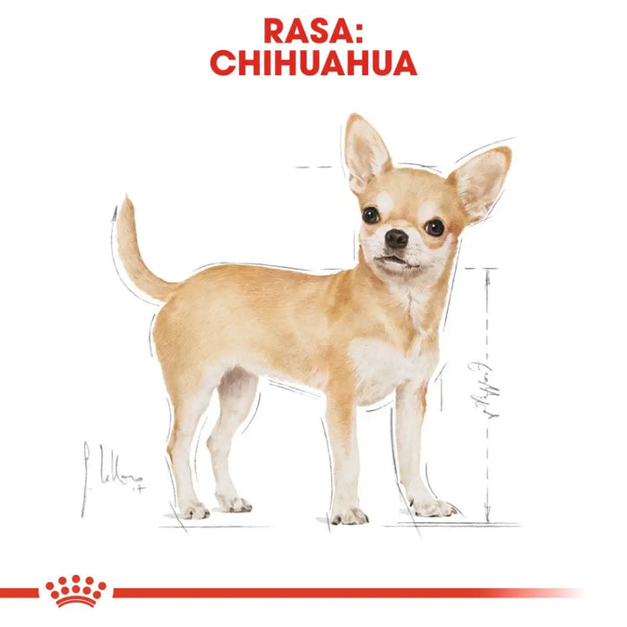 ROYAL CANIN Чихуахуа - опаковка 12х85гр