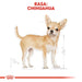 ROYAL CANIN Чихуахуа - опаковка 12х85гр