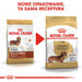 ROYAL CANIN Dachshund Adult - суха храна за кучета - 7,5 кг