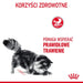 Royal Canin Digestive Care суха храна за котки Риба Птиче