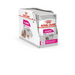 ROYAL CANIN Exigent Мокра храна за кучета Pâté 12x85 гр