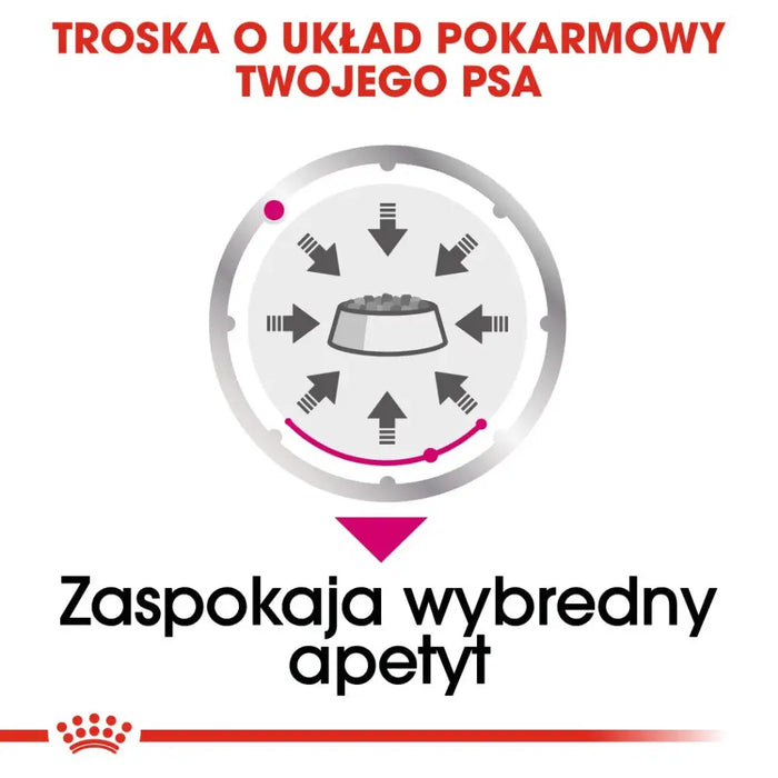 ROYAL CANIN Exigent Мокра храна за кучета Pâté 12x85 гр