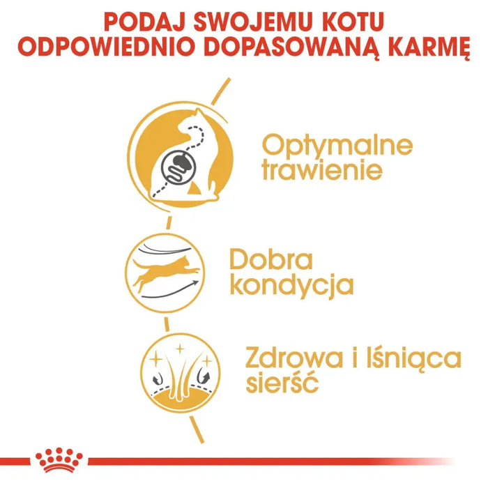 ROYAL CANIN FBN Bengal Adult - суха храна за котки - 10 кг