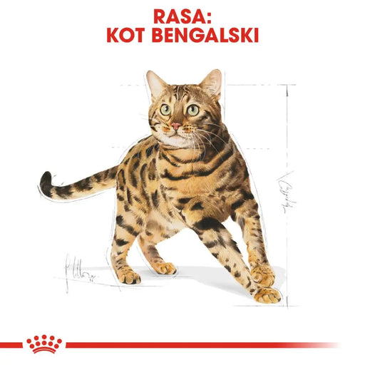 ROYAL CANIN FBN Bengal Adult - суха храна за котки - 10 кг