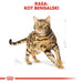 ROYAL CANIN FBN Bengal Adult - суха храна за котки - 10 кг