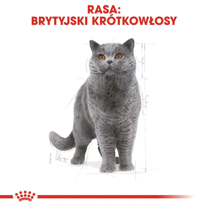 ROYAL CANIN FBN British Shorthair Adult суха храна за котки