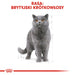 ROYAL CANIN FBN British Shorthair Adult суха храна за котки