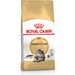 Royal Canin FBN Maine Coon Adult - суха храна за възрастни