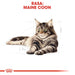 Royal Canin FBN Maine Coon Adult - суха храна за възрастни