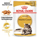 ROYAL CANIN FBN Maine Coon - Мокра храна за котки - саше
