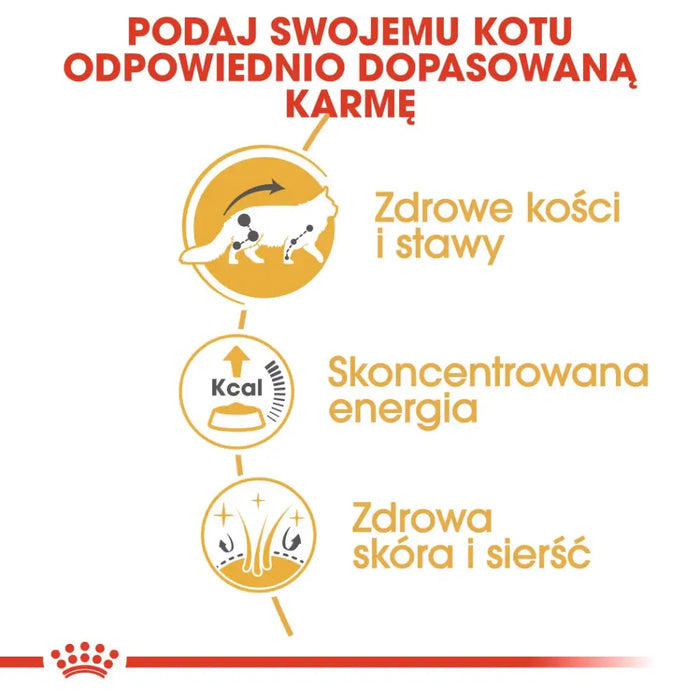 ROYAL CANIN FBN Maine Coon - Мокра храна за котки - саше