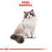 Royal Canin FBN Ragdoll Adult суха храна за котки 2 кг