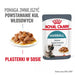 ROYAL CANIN FCN Hairball Care chunks in gravy - мокра храна