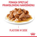 ROYAL CANIN FCN Hairball Care chunks in gravy - мокра храна