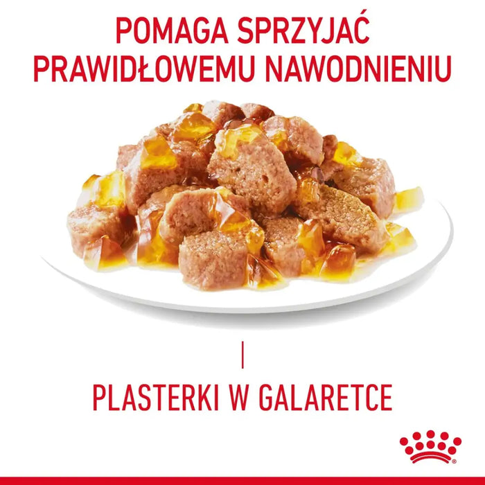 ROYAL CANIN FCN Light Weight Care в желе - мокра храна