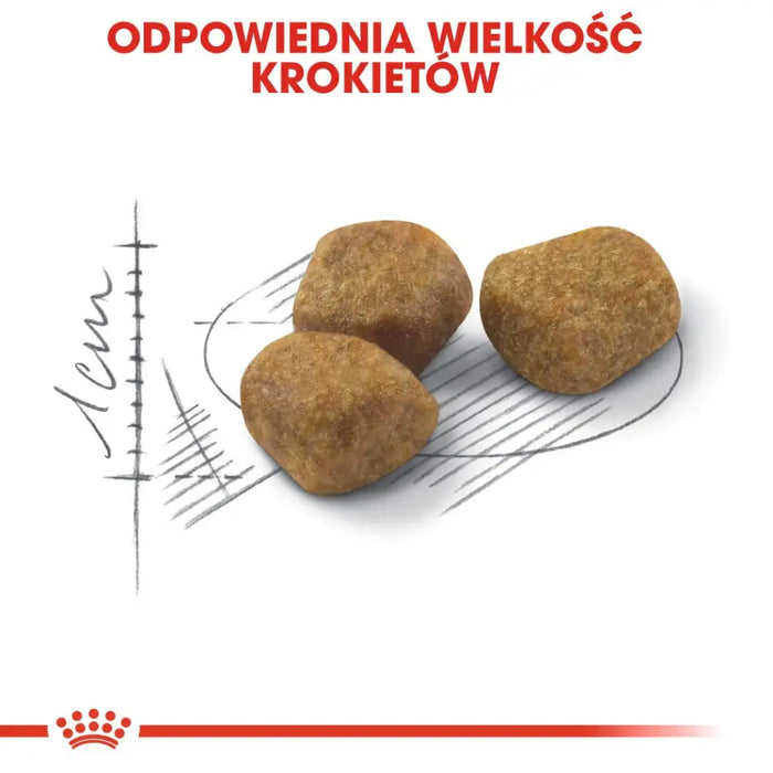 Royal Canin Feline Fit 2 кг суха храна за котки за възрастни