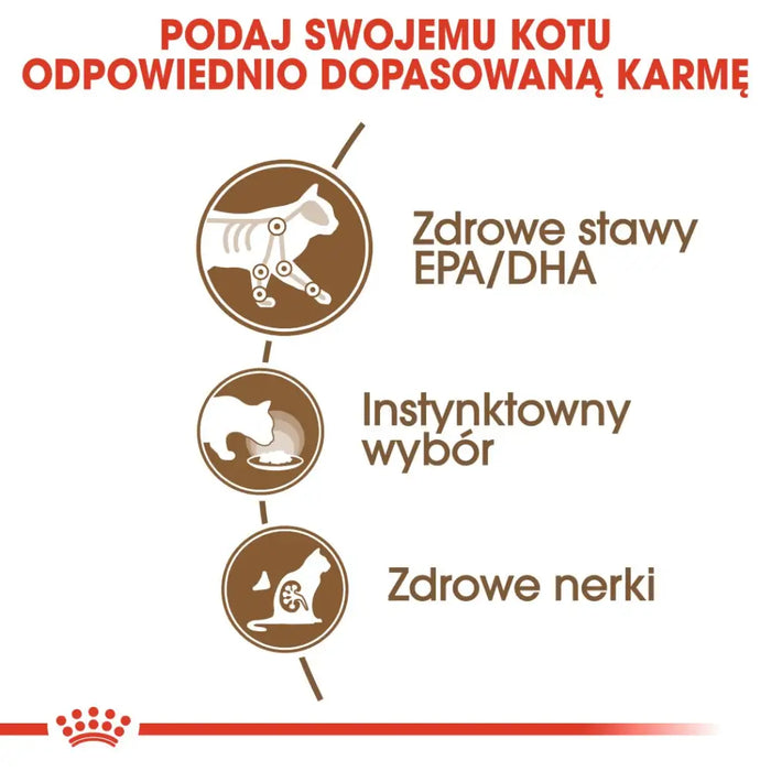 ROYAL CANIN FHN Ageing 12 + в желе - мокра храна за котки